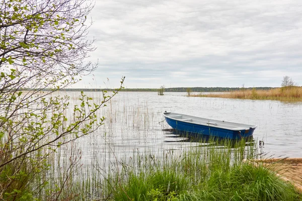 Kleine Vissersboot Verankerd Een Bosmeer Reflecties Water Vervoer Traditionele Ambachtelijke — Stockfoto