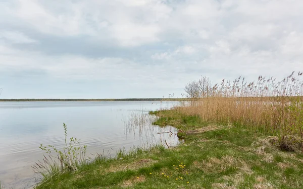 Insel Einem Waldsee Fluss Regentag Spiegelungen Wasser Blauer Himmel Glühende — Stockfoto