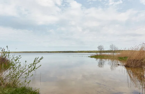 Île Dans Lac Forestier Rivière Jour Pluie Réflexions Dans Eau — Photo