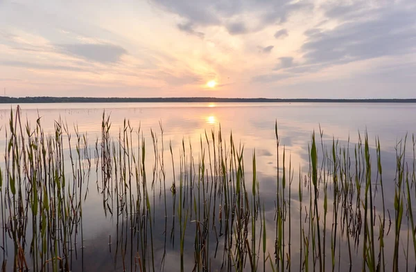 Gün batımında Orman Gölü. Yumuşak güneş ışığı, parlayan pembe ve altın bulutlar, kristal berrak bir suda yansıma. Idyllic manzara. Panoramik manzara. Doğa, ekoloji, çevrecilik. Barış ve neşe kavramları