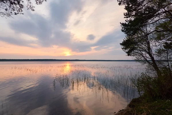 Gün batımında Orman Gölü. Ağaç siluetleri. Yumuşak güneş ışığı, parlayan bulutlar, kristal berrak suda yansıma. Idyllic manzara. Panoramik manzara. Doğa, ekoloji, çevre turizmi. Barış ve neşe kavramları