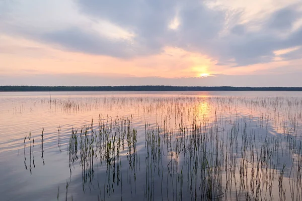 Gün batımında Orman Gölü. Yumuşak güneş ışığı, parlayan pembe ve altın bulutlar, kristal berrak bir suda yansıma. Idyllic manzara. Panoramik manzara. Doğa, ekoloji, çevrecilik. Barış ve neşe kavramları