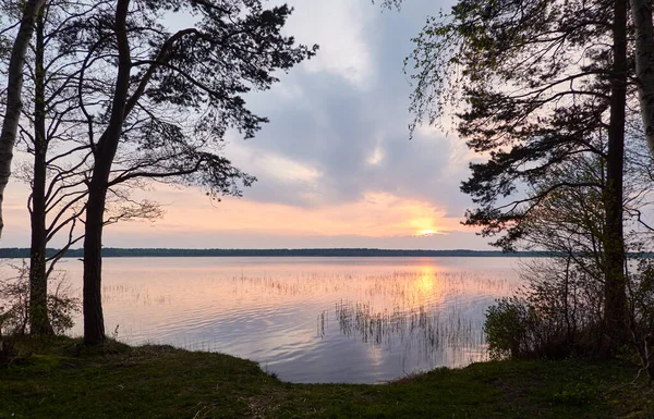 日没の森の湖 木のシルエット 柔らかい太陽の光 輝く雲 透明な水の反射 牧歌的な風景です パノラマビュー 生態系 エコツーリズム 平和と喜びの概念 — ストック写真