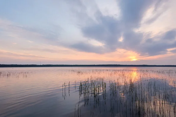 Forest Lake Sunset Soft Sunlight Glowing Pink Golden Clouds Reflection — Stock Photo, Image