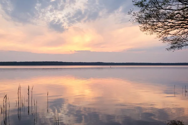 Gün batımında Orman Gölü. Ağaç siluetleri. Yumuşak güneş ışığı, parlayan bulutlar, kristal berrak suda yansıma. Idyllic manzara. Panoramik manzara. Doğa, ekoloji, çevre turizmi. Barış ve neşe kavramları
