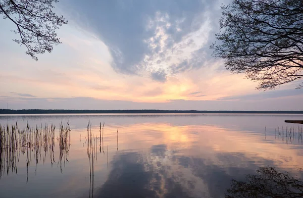 Gün batımında Orman Gölü. Ağaç siluetleri. Yumuşak güneş ışığı, parlayan bulutlar, kristal berrak suda yansıma. Idyllic manzara. Panoramik manzara. Doğa, ekoloji, çevre turizmi. Barış ve neşe kavramları