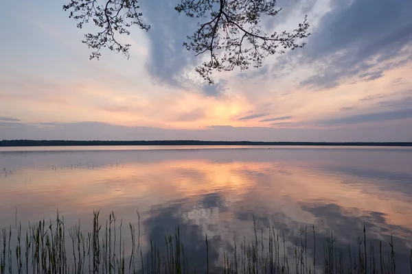 Skogssjön Vid Solnedgången Trädsiluetter Mjukt Solljus Glödande Moln Reflektion Kristallklart — Stockfoto