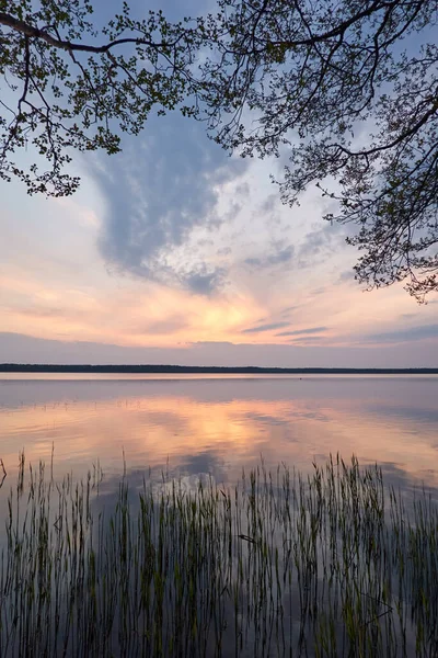 Lago Del Bosque Atardecer Siluetas Árboles Luz Solar Suave Nubes — Foto de Stock