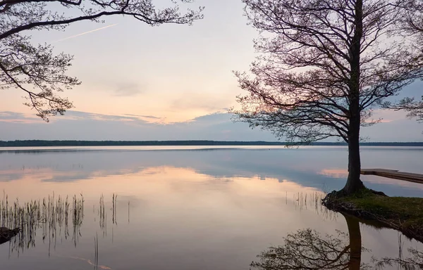 Gün batımında Orman Gölü. Ağaç siluetleri. Yumuşak güneş ışığı, parlayan bulutlar, kristal berrak suda yansıma. Idyllic manzara. Panoramik manzara. Doğa, ekoloji, çevre turizmi. Barış ve neşe kavramları