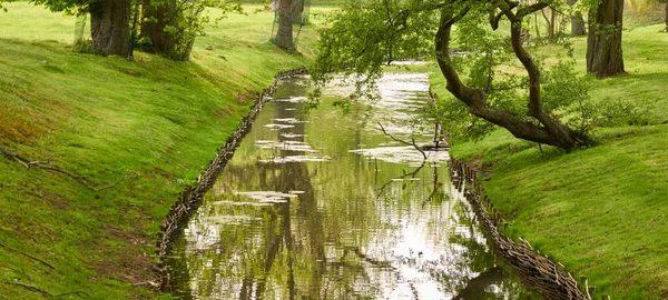 Pequeno Rio Canal Parque Florestal Poderosas Árvores Decíduas Verdes Flores — Fotografia de Stock