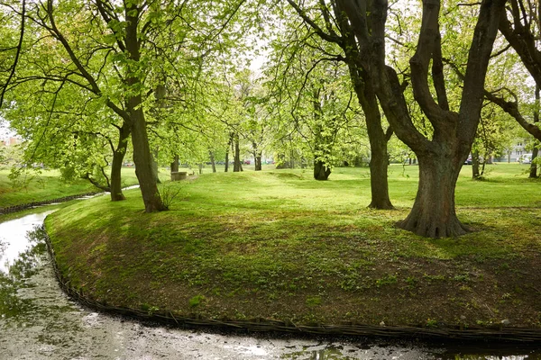 Pequeño Río Canal Parque Forestal Poderosos Árboles Hoja Caduca Verdes —  Fotos de Stock