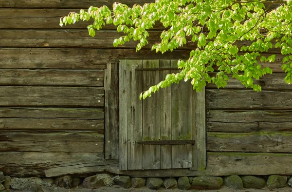 통나무집 잔디밭 전통적 변화하는 — 스톡 사진
