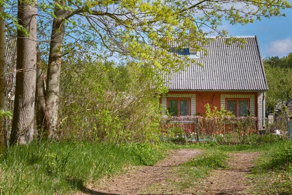 赤レンガの家 森の芝生 春の風景 牧歌的な田園風景 伝統的な建築 遠隔地 シフトダウン ライフスタイルのテーマ — ストック写真