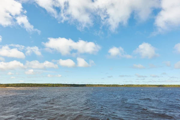 Остров Лесном Озере Реке Солнечный День Отражения Воде Голубое Небо — стоковое фото