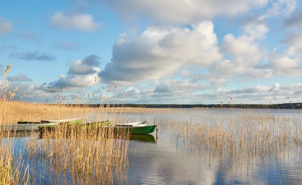 Orman gölüne demir atmış küçük bir balıkçı teknesi. Sudaki yansımalar. Ulaşım, geleneksel zanaat, eğlence, boş zaman aktivitesi, sağlıklı yaşam tarzı, yerel turizm kavramları. Bahar manzarası