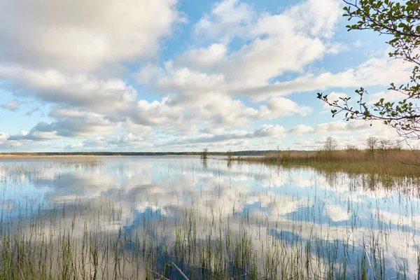 Île Dans Lac Forestier Rivière Par Une Journée Ensoleillée Réflexions — Photo