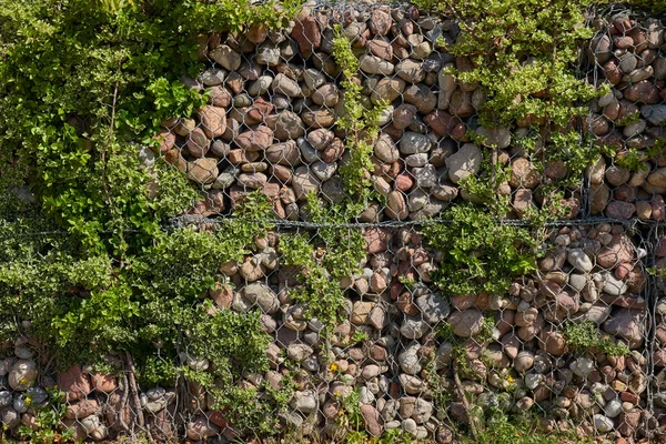 Современный Забор Украшен Проволокой Камнями Зелеными Листьями Городской Парк Концептуальный — стоковое фото