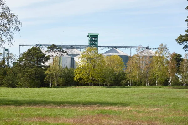 Large tanks (grain elevator) in cargo port. Ventspils, Latvia. Green trees. Concept urban landscape. Nature, ecology, biotechnology, rapeseed fuel, environmental conservation, ecological damage themes