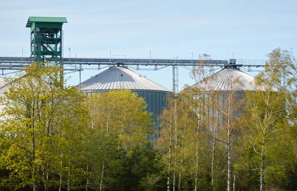 Large tanks (grain elevator) in cargo port. Ventspils, Latvia. Green trees. Concept urban landscape. Nature, ecology, biotechnology, rapeseed fuel, environmental conservation, ecological damage themes