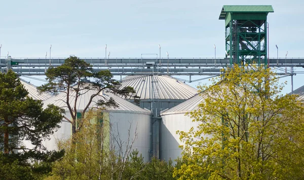 Large Tanks Grain Elevator Cargo Port Ventspils Latvia Green Trees — Stock Photo, Image