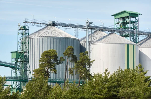 Large tanks (grain elevator) in cargo port. Ventspils, Latvia. Green trees. Concept urban landscape. Nature, ecology, biotechnology, rapeseed fuel, environmental conservation, ecological damage themes