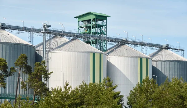 Large tanks (grain elevator) in cargo port. Ventspils, Latvia. Green trees. Concept urban landscape. Nature, ecology, biotechnology, rapeseed fuel, environmental conservation, ecological damage themes