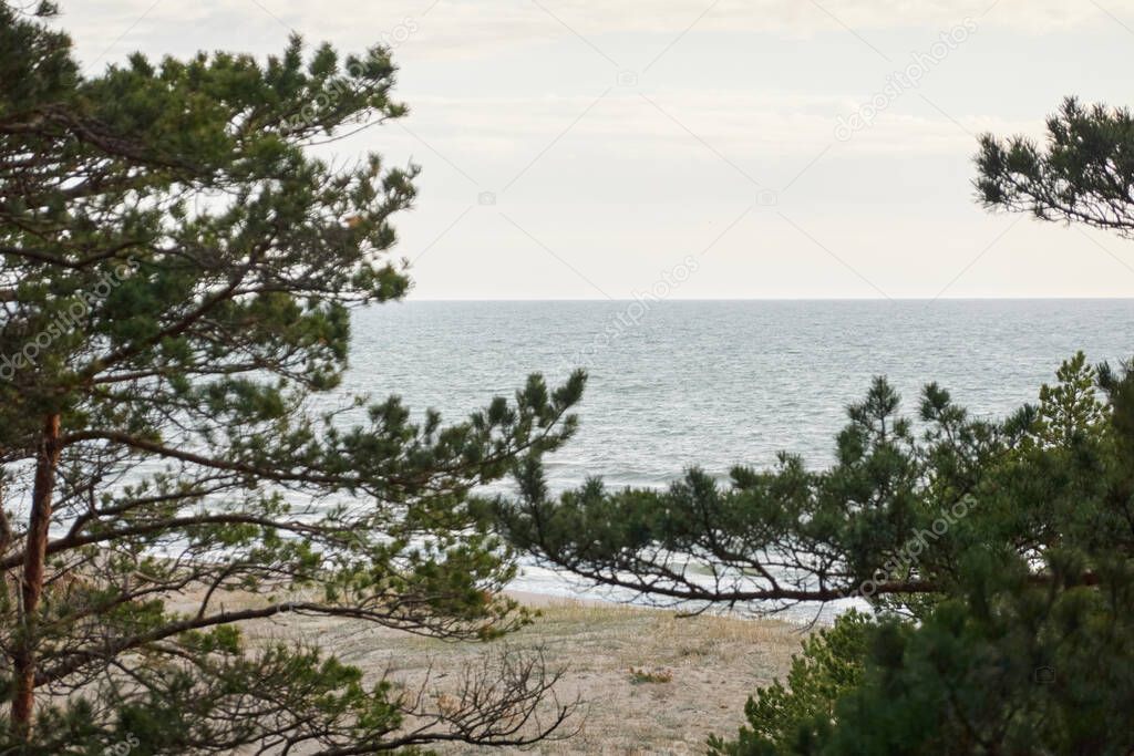Baltic sea shore (sand dunes, beach). Evergreen pine forest, dune grass. Dramatic sky, glowing sunset clouds. Picturesque panoramic scenery. Nature, environment, eco tourism, hiking, exploring concept
