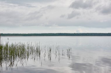 Kristal berrak bir orman gölü (nehir) kıyısından panoramik manzara. Dramatik gökyüzü, parlayan fırtına bulutları. Idyllic manzara. İlkbahar, yazın başı. Doğa, çevre, ekoloji, eko-turizm, yürüyüş