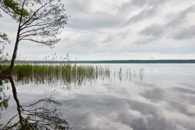 Kristal berrak bir orman gölü (nehir) kıyısından panoramik manzara. Dramatik gökyüzü, parlayan fırtına bulutları. Idyllic manzara. İlkbahar, yazın başı. Doğa, çevre, ekoloji, eko-turizm, yürüyüş