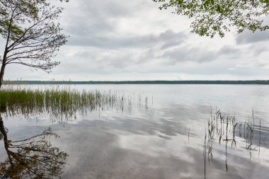 Kristal berrak bir orman gölü (nehir) kıyısından panoramik manzara. Dramatik gökyüzü, parlayan fırtına bulutları. Idyllic manzara. İlkbahar, yazın başı. Doğa, çevre, ekoloji, eko-turizm, yürüyüş