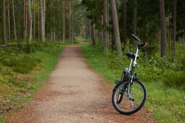 Muhteşem Evergreen orman parkında yürüyüş parkında park etmiş bir bisiklet. Güçlü çam ağaçları. Manzara kavramı. Doğa, turizm, İskandinav yürüyüşü, bisiklet, keşif, sağlıklı yaşam tarzı, spor temaları