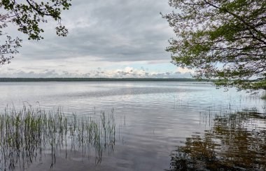 Kristal berrak bir orman gölü (nehir) kıyısından panoramik manzara. Dramatik gökyüzü, parlayan fırtına bulutları. Idyllic manzara. İlkbahar, yazın başı. Doğa, çevre, ekoloji, eko-turizm, yürüyüş