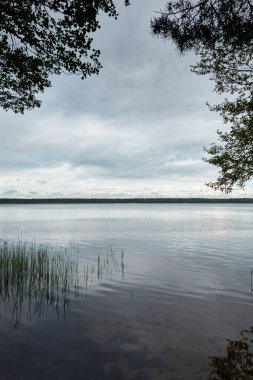 Kristal berrak bir orman gölü (nehir) kıyısından panoramik manzara. Dramatik gökyüzü, parlayan fırtına bulutları. Idyllic manzara. İlkbahar, yazın başı. Doğa, çevre, ekoloji, eko-turizm, yürüyüş