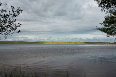 Kristal berrak bir orman gölü (nehir) kıyısından panoramik manzara. Dramatik gökyüzü, parlayan fırtına bulutları. Idyllic manzara. İlkbahar, yazın başı. Doğa, çevre, ekoloji, eko-turizm, yürüyüş