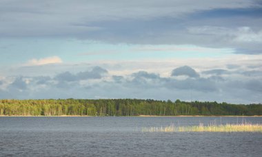 Kristal berrak bir orman gölü (nehir) kıyısından panoramik manzara. Dramatik gökyüzü, parlayan fırtına bulutları. Idyllic manzara. İlkbahar, yazın başı. Doğa, çevre, ekoloji, eko-turizm, yürüyüş