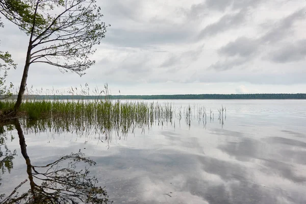 Kristal berrak bir orman gölü (nehir) kıyısından panoramik manzara. Dramatik gökyüzü, parlayan fırtına bulutları. Idyllic manzara. İlkbahar, yazın başı. Doğa, çevre, ekoloji, eko-turizm, yürüyüş