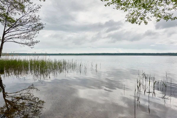 Kristal berrak bir orman gölü (nehir) kıyısından panoramik manzara. Dramatik gökyüzü, parlayan fırtına bulutları. Idyllic manzara. İlkbahar, yazın başı. Doğa, çevre, ekoloji, eko-turizm, yürüyüş