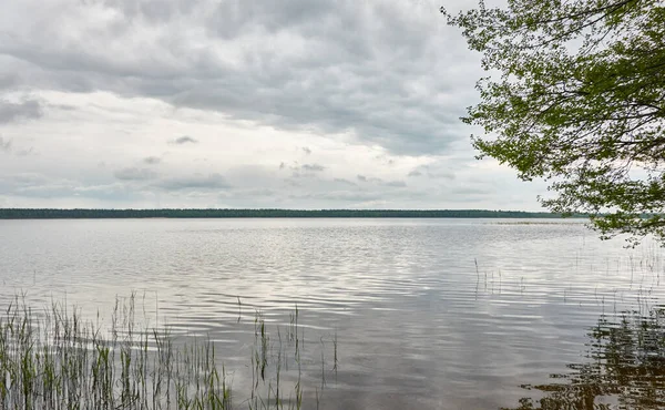 Panoramisch Uitzicht Vanaf Oever Van Een Kristalhelder Bosmeer Rivier Dramatische — Stockfoto