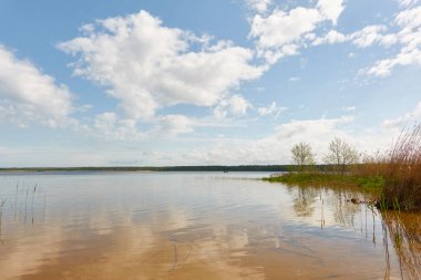 Orman gölünde bir ada (nehir). Güneşli bir gün. Sudaki yansımalar. Mavi gökyüzü, parlayan bulutlar. Idyllic manzara. Saf doğa, ekoloji, ekolojik rezerv, eko-turizm.