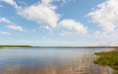 Orman gölünde bir ada (nehir). Güneşli bir gün. Sudaki yansımalar. Mavi gökyüzü, parlayan bulutlar. Idyllic manzara. Saf doğa, ekoloji, ekolojik rezerv, eko-turizm.