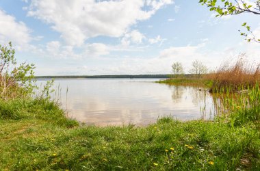 Orman gölünde bir ada (nehir). Güneşli bir gün. Sudaki yansımalar. Mavi gökyüzü, parlayan bulutlar. Idyllic manzara. Saf doğa, ekoloji, ekolojik rezerv, eko-turizm.