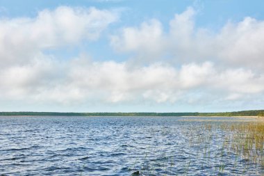 Kristal berrak bir orman gölü (nehir) kıyısından panoramik manzara. Idyllic manzara. İlkbahar, yazın başı. Doğa, çevre, ekoloji, eko-turizm, yürüyüş, tatiller, yüzme ve rahatlatıcı temalar