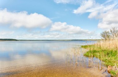 Kristal berrak bir orman gölü (nehir) kıyısından panoramik manzara. Idyllic manzara. İlkbahar, yazın başı. Doğa, çevre, ekoloji, eko-turizm, yürüyüş, tatiller, yüzme ve rahatlatıcı temalar