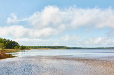 Kristal berrak bir orman gölü (nehir) kıyısından panoramik manzara. Idyllic manzara. İlkbahar, yazın başı. Doğa, çevre, ekoloji, eko-turizm, yürüyüş, tatiller, yüzme ve rahatlatıcı temalar