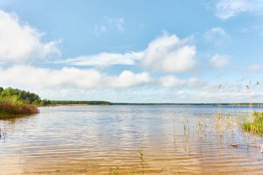 Kristal berrak bir orman gölü (nehir) kıyısından panoramik manzara. Idyllic manzara. İlkbahar, yazın başı. Doğa, çevre, ekoloji, eko-turizm, yürüyüş, tatiller, yüzme ve rahatlatıcı temalar