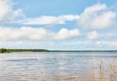 Kristal berrak bir orman gölü (nehir) kıyısından panoramik manzara. Idyllic manzara. İlkbahar, yazın başı. Doğa, çevre, ekoloji, eko-turizm, yürüyüş, tatiller, yüzme ve rahatlatıcı temalar