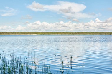 Kristal berrak bir orman gölü (nehir) kıyısından panoramik manzara. Idyllic manzara. İlkbahar, yazın başı. Doğa, çevre, ekoloji, eko-turizm, yürüyüş, tatiller, yüzme ve rahatlatıcı temalar