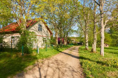 Orman köyünden geçen kırsal yol. Köy evi, çit. İlkbahar, yazın başı. Çevre, ekoloji, doğa, turizm, yürüyüş, bisiklet, yürüyüş, yaşam tarzı. Idyllic manzara