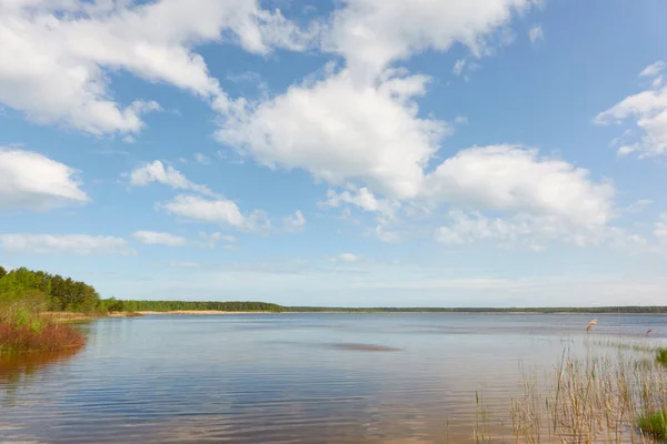 Île Dans Lac Forestier Rivière Journée Ensoleillée Réflexions Dans Eau — Photo