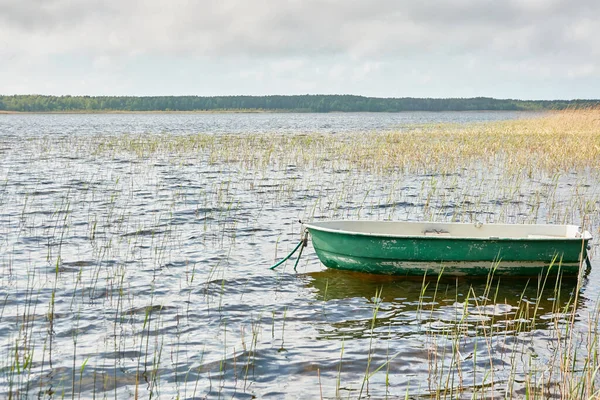 Pequeño Bote Verde Anclado Lago Del Bosque Escandinavia Transporte Artesanía — Foto de Stock